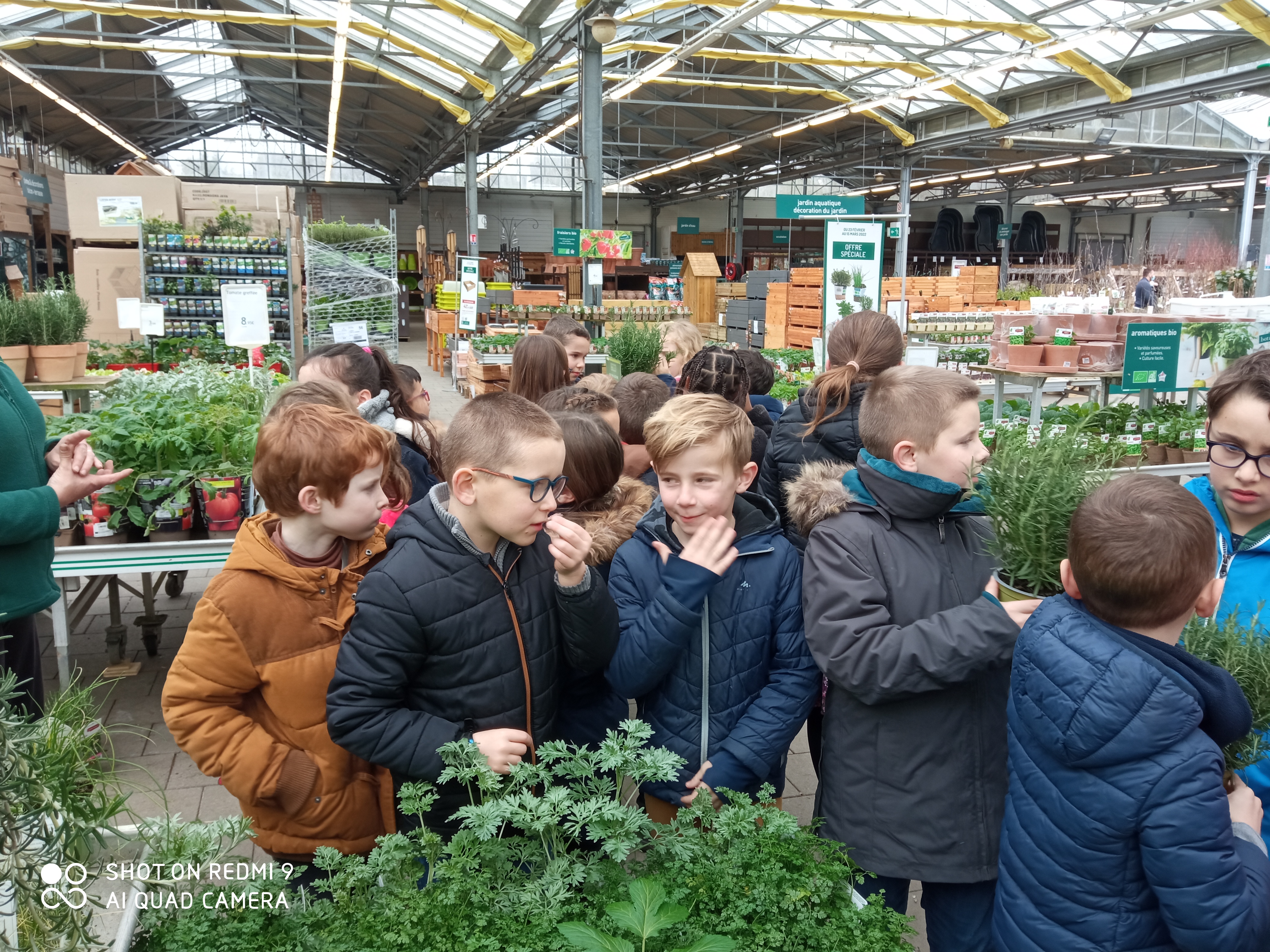 Sortie à la jardinerie